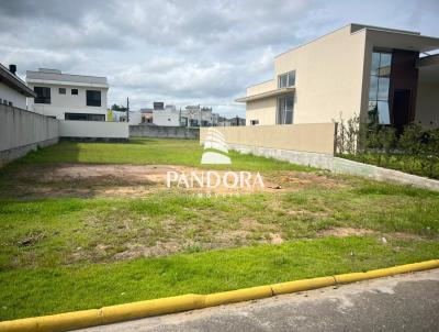 Terreno para Venda, em Cambori, bairro Santa Regina