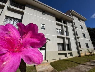 Apartamento para Venda, em Curitiba, bairro Stio Cercado, 3 dormitrios, 1 banheiro, 1 vaga