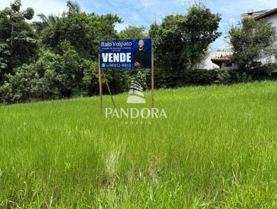 Terreno para Venda, em Palhoa, bairro Pedra Branca