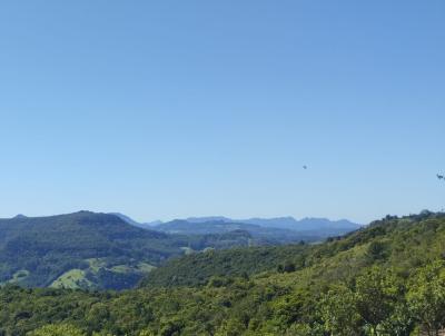 Stio / Chcara para Venda, em So Francisco de Paula, bairro Interior