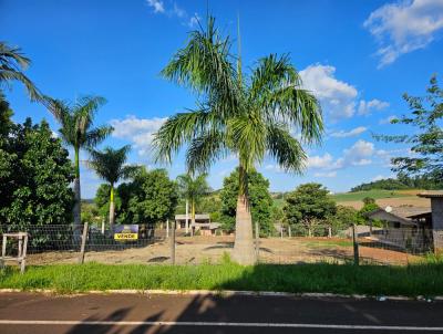 Lote para Venda, em Cruzeiro do Iguau, bairro centro