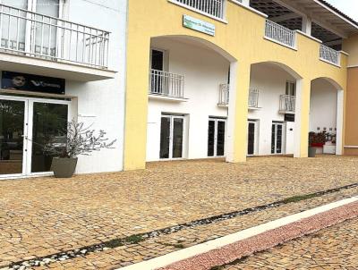 imagem-miniatura