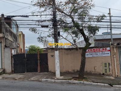 Terreno para Venda, em São Paulo, bairro Jardim Cachoeira