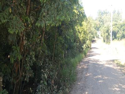 Chcara para Venda, em Passo do Sobrado, bairro Taquari Mirim, 2 dormitrios, 2 banheiros, 1 vaga