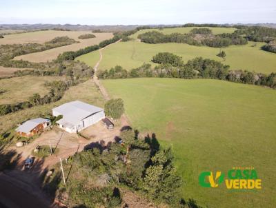 Fazenda para Venda, em , bairro centro