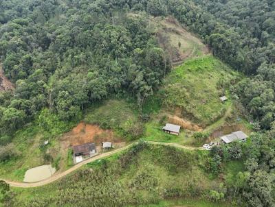 Sítio para Venda, em Ascurra, bairro Guaricanas, 5 dormitórios, 2 banheiros