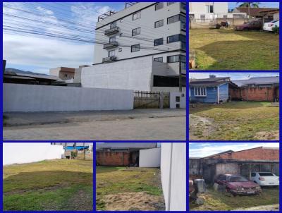 imagem-miniatura