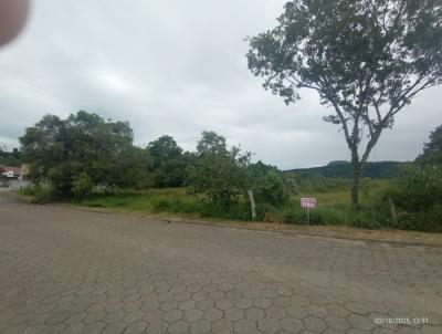 Oportunidade para Investidor para Venda, em Ibirama, bairro dalbergia