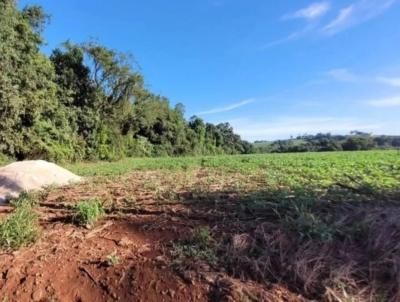 Chcara para Venda, em Mato Leito, bairro Santo Antnio