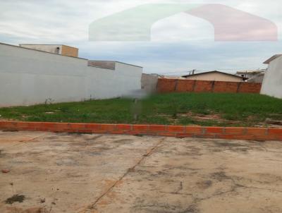 imagem-miniatura
