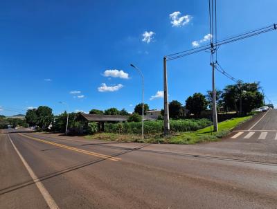 Lote para Venda, em Cruzeiro do Iguau, bairro centro