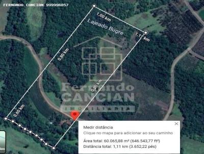 Stio / Chcara para Venda, em Santo Cristo, bairro Linha rion - Interior, 3 dormitrios, 2 banheiros, 1 vaga