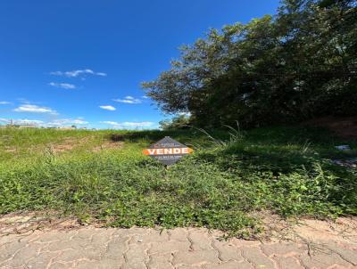 Terreno para Venda, em Venncio Aires, bairro Loteamento Peiter
