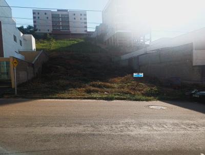 Lote para Venda, em So Gonalo do Rio Abaixo, bairro Cidade Universitria