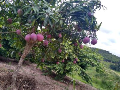 Chcara para Venda, em Santa Brbara, bairro Zona Rural