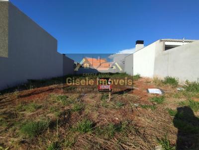 Terreno para Venda, em Guarapuava, bairro Vila Romana, 2 banheiros