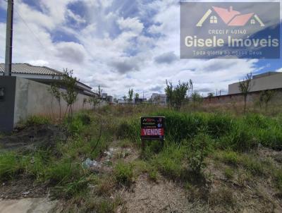 Terreno para Venda, em Guarapuava, bairro Vila Romana