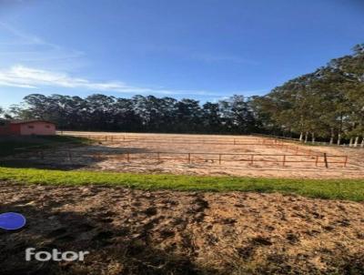 Haras para Venda, em Porto Feliz, bairro PORTO FELIZ