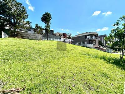 Terreno para Venda, em Santana de Parnaba, bairro Alphaville