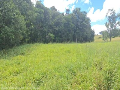 Stio para Venda, em Caldas, bairro Rio Verde, 3 dormitrios, 1 banheiro