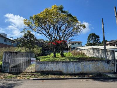 Terreno para Venda, em Caador, bairro Berger