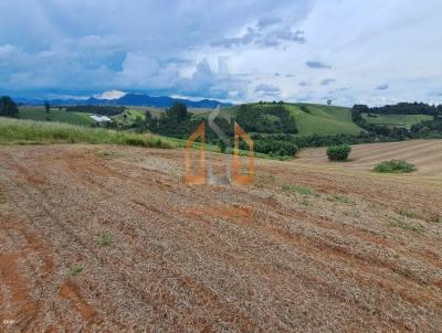 Terreno Rural para Venda, em Pouso Alegre, bairro Curralinho