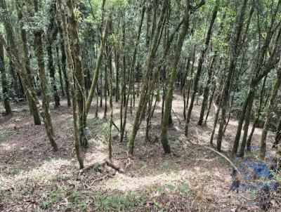 Terreno para Venda, em Campos do Jordo, bairro Colinas Capivari