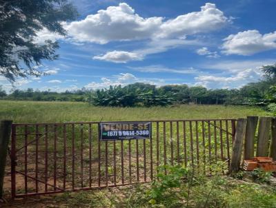 Terreno para Venda, em Ponta Por, bairro sanga puita