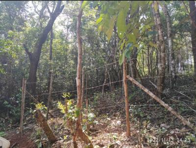 Chcara para Venda, em Itabirito, bairro Acurui