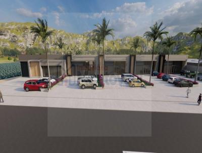 Terreno Comercial para Venda, em Assis, bairro ESTRADA ASSIS X CANDIDO MOTA