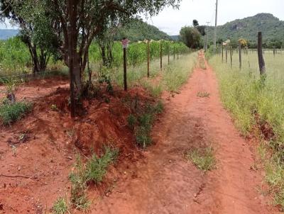 Terreno Rural para Venda, em Guanambi, bairro Morro da Incia I