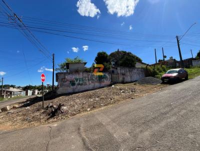 Terreno para Venda, em Guarapuava, bairro Alto a XV