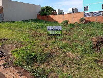 Terreno para Venda, em Marechal Cndido Rondon, bairro Primavera