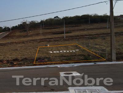 Lote para Venda, em Guanhes, bairro Bom Sucesso 3