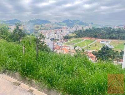 Lote para Venda, em Pouso Alegre, bairro Nh Chica