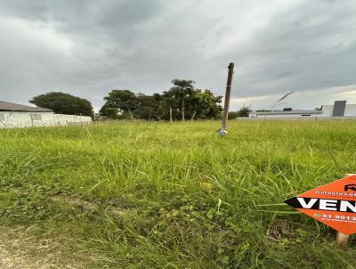 Terreno para Venda, em Venncio Aires, bairro Bela Vista/Loteamento Rosa