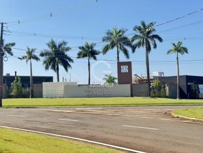 Terreno para Venda, em Londrina, bairro Gleba Simon Frazer