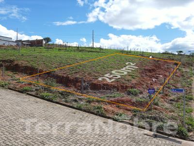 Lote para Venda, em Guanhes, bairro Novo Horizonte