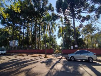 Terreno para Venda, em Erechim, bairro Centro
