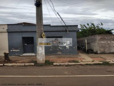 imagem-miniatura