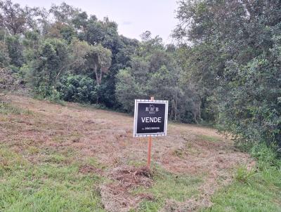 Terreno para Venda, em Montenegro, bairro Imigrao