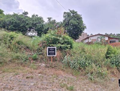 Terreno para Venda, em Montenegro, bairro Santo Antnio