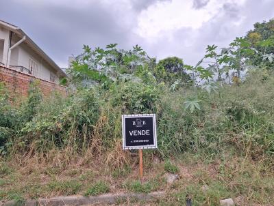 Terreno para Venda, em Montenegro, bairro Santo Antnio