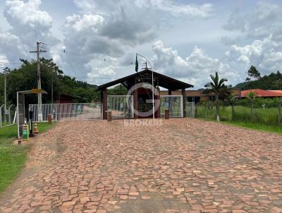 Chcara para Venda, em Ibipor, bairro Estrada dos Pioneiros