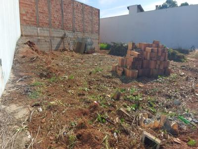 Terreno para Venda, em Jaboticabal, bairro Centro