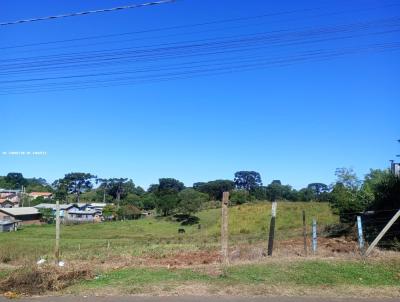 Terreno para Venda, em Vacaria, bairro So Joo