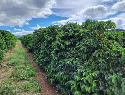 Fazenda para Venda, em Piumhi, bairro 