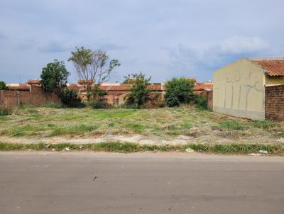 Lote para Venda, em Aparecida de Goinia, bairro Jardim Veneza