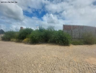 Terreno para Venda, em Patos, bairro Novo Horizonte