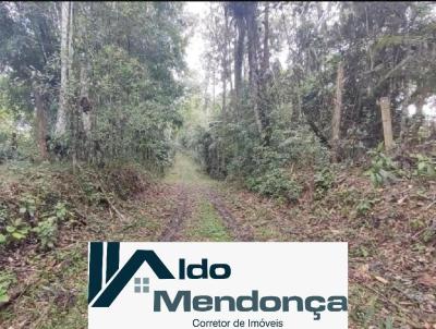 Terreno para Venda, em Juquitiba, bairro Centro
